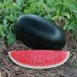 Hybrid Black Skin Oval Shape Watermelon 20 Seeds