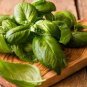 Genovese Basil 40 Seeds