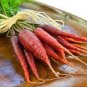 Atomic Carrot 200 Seeds