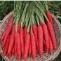 Atomic Carrot 200 Seeds