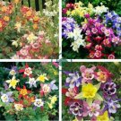 Mix Columbine Aquilegia Viridiflora Shade Perennial Flowers 100 Seeds