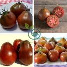 Rare Heirloom Japonskij Black Truffle Tomato Organic 200 Seeds