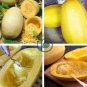 Heirloom Spaghetti Squash Vegetable 60 Seeds