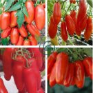 Red Bananas Tomatoes 200 Seeds