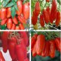Red Bananas Tomatoes 200 Seeds