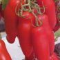 Red Bananas Tomatoes 200 Seeds