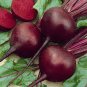 Beta Vulgaris Beets Green Chinese Vegetable 10 Seeds