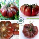 Purple Calabash Tomato 200 Seeds