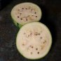 White Watermelon Green Dark Green Skin White Inside Water Melon 20 Seeds