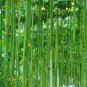 Short Loofah Organic 30 Seeds