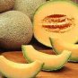 Korea Sweet Melon Seeds Very Delicious Hami Melon Muskmelon 20 Seeds