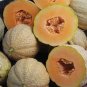 Korea Sweet Melon Seeds Very Delicious Hami Melon Muskmelon 20 Seeds