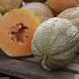 Korea Sweet Melon Seeds Very Delicious Hami Melon Muskmelon 20 Seeds