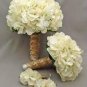 Champagne Hydrangea Seeds Ice Cream Light Orange Flowers 40 Seeds