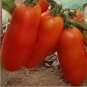Pink 'balloon' Tomato Organic 200 Seeds