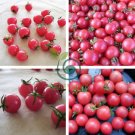 Sweet Treats Hybrid Pink Cherry Tomato 200 Seeds