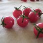 Sweet Treats Hybrid Pink Cherry Tomato 200 Seeds