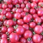 Sweet Treats Hybrid Pink Cherry Tomato 200 Seeds