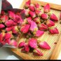 Red Rose Bud Bonsai Flowers 100 Seeds