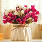 Red Rose Bud Bonsai Flowers 100 Seeds