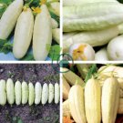 Cucumber Long White Wonder 20 Seeds