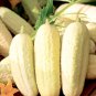 Cucumber Long White Wonder 20 Seeds