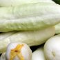 Cucumber Long White Wonder 20 Seeds