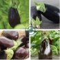 Rarest Heirloom 'Emperor' Black Pear Eggplant Vegetable 200 Seeds