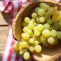 Yellow Red Cluster of Sweet Grape 200 Seeds