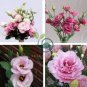 Eustoma Grandiflorum  Water Pink Double Flowers Hybrid 200 Seeds