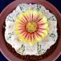 Egg Succulents Bonsai Echinopsis Tubiflora Cactus Flores 400 Seeds