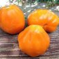 Rare Heirloom 'Foshou' Big Yellow Tomato 200 Seeds