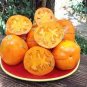 Rare Heirloom 'Foshou' Big Yellow Tomato 200 Seeds