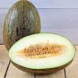 Green Muskmelon Sweet Melon 40 Seeds