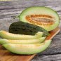Green Muskmelon Sweet Melon 40 Seeds