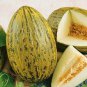 Green Muskmelon Sweet Melon 40 Seeds
