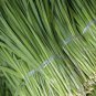 Chinese Broadleaf Chive Bonsai Garden Potted Leek Plants 1000 Seeds
