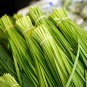 Chinese Broadleaf Chive Bonsai Garden Potted Leek Plants 1000 Seeds