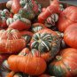Heirloom China Happiness Ornamental Pumpkin Hybrid 20 Seeds