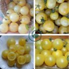 Heirloom White Cherry Tomato Organic Fresh Fruit Vegetables 200 Seeds