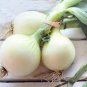 Onion Large White Vegetable 4000 Seeds
