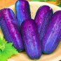 Purple Cucumber  200 Seeds
