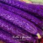 Purple Cucumber  200 Seeds