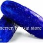 Purple Cucumber 200 Seeds