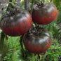 Black Elephant Tomato 200 Seeds