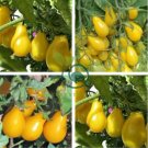 Harbin Yellow Pear Cherry Tomato 600 Seeds