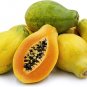 Fresh Organic Pawpaw Seeds Giant Red Lady Exotic Carica Papaya 16 Seeds