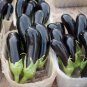 Sichuan Super Red Early-maturing Long Eggplant 16 Seeds