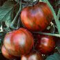 'Purple Black' Round Chicago Tomato Organic 600 Seeds