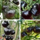 Black Striped Tomato Organic 200 Seeds
